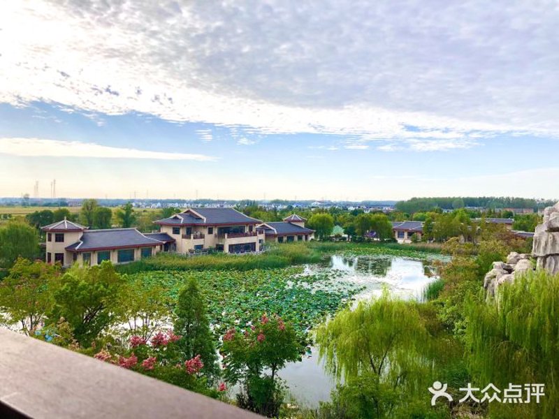 四川投资集团：助力地方经济发展的引擎